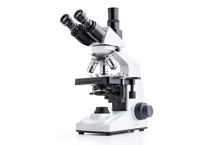 Exploring Microscopy: Facts, Details, and Key Information to Learn and Appreciate