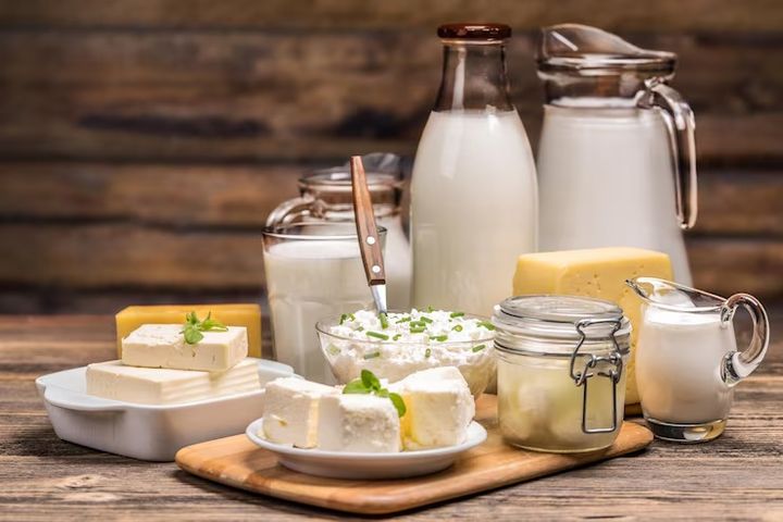 Exploring Dairy Products: Facts, Details, and Key Information to Understand Better