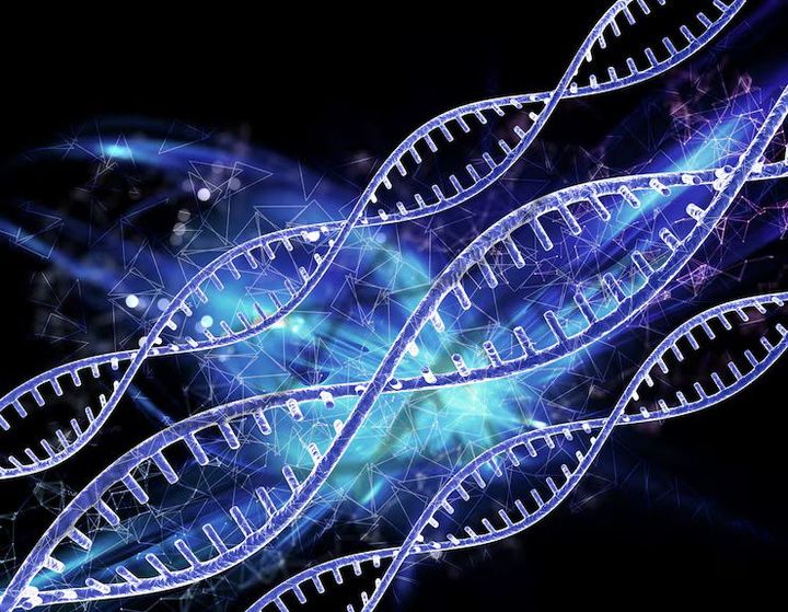 A Glowing CRISPR System Tips: Innovation in Gene Identification and Biomedical Research