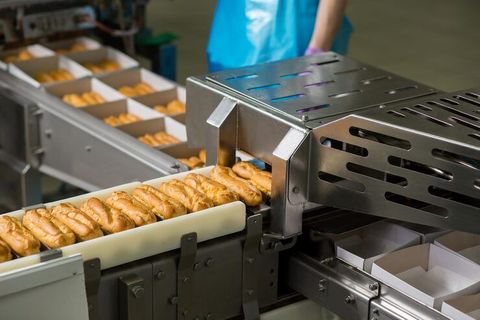 How Food Processing Lines Work: Steps, Process, and Production Techniques