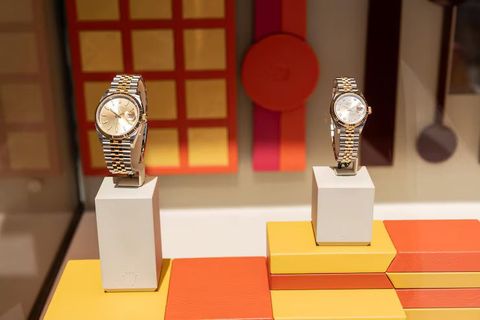 Rolex Watches Guide 2026: Models, Features & History