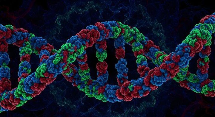 Chromatin Maps: Complete Guide, Insights, Overview, Facts, and Resources