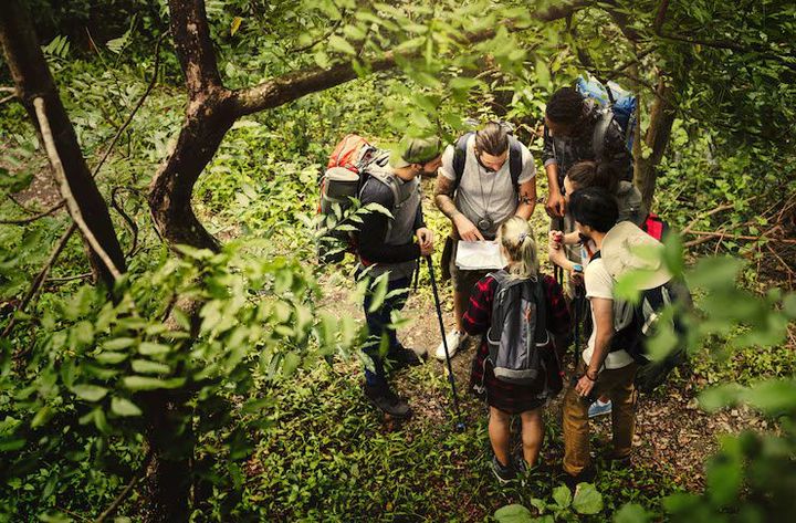 Nature Conservation Tours: An Overview of Eco Travel, Wildlife Protection, and Sustainable Tourism