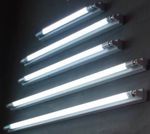 Fluorescent Lights Overview: How They Work, Types, Features, and Common Uses