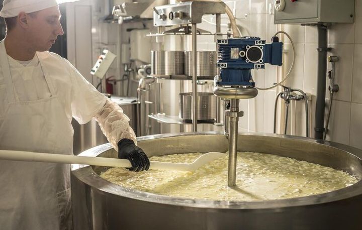 Cheese Making Machines: A Complete Guide to Modern Dairy Processing Technology