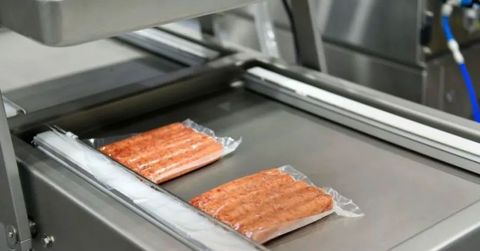 Commercial Vacuum Packagers Guide: How They Work and Key Applications