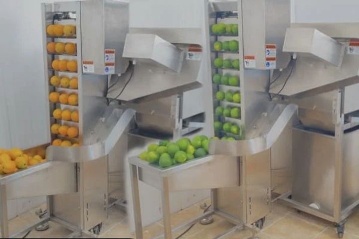 Discover Industrial Juice Extractor Machines: Basics, Knowledge, and Expert Advice