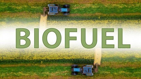 Advanced Biofuel Technology Strategies: Professional Guide to Sustainable Energy Solutions