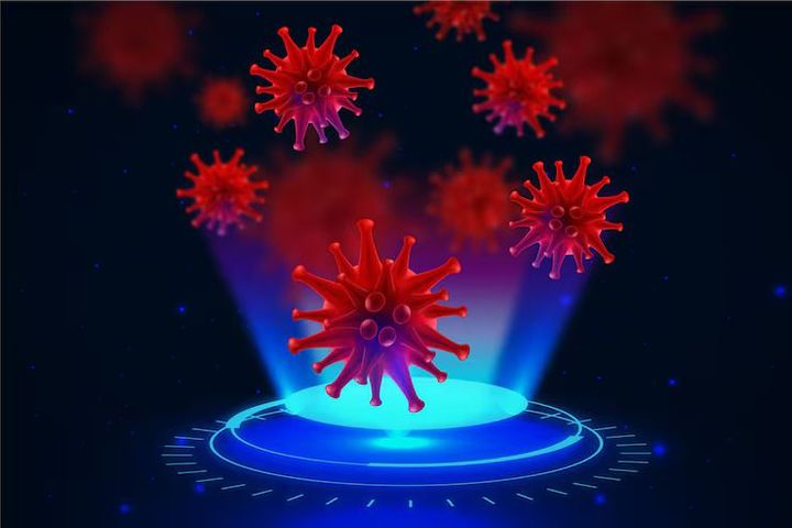 Nanobody Platforms: A Complete Guide to Technology, Applications, and Industry Insights