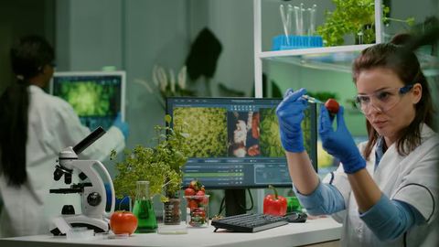 BioVision ELISA Kits Guide: Features, Uses & Insights