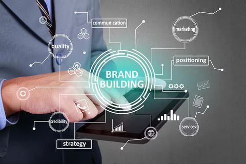 Online Brand Building Insights Guide: Understanding Brand Growth Stages