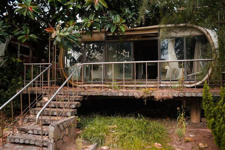 Expert Guide to Tree House Hotels: Deep Dive into Luxury, Safety, and Sustainability