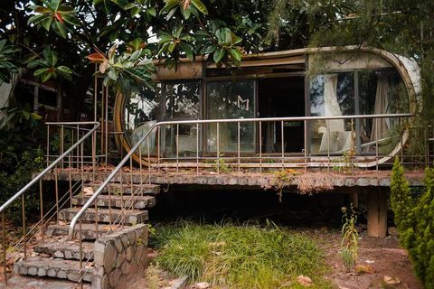 Expert Guide to Tree House Hotels: Deep Dive into Luxury, Safety, and Sustainability