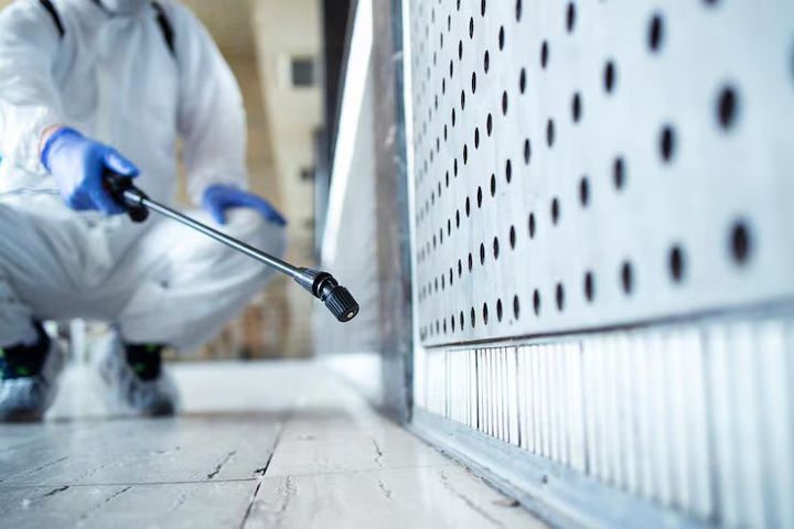 Protecting Your Home: A Comprehensive Guide to Termite Treatment