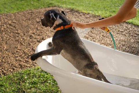 PET Flake Washing Lines Guide: Explore Types, Components, Capacity, Processes, and Planning Factors