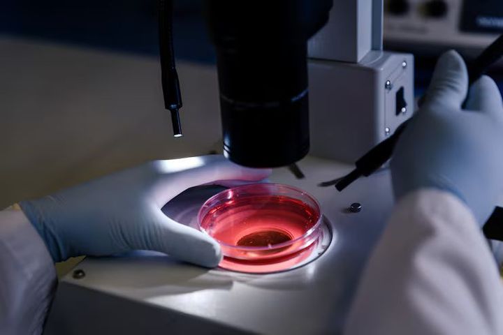 IVF & Assisted Reproductive Technologies: Explore Modern Fertility Treatment Options