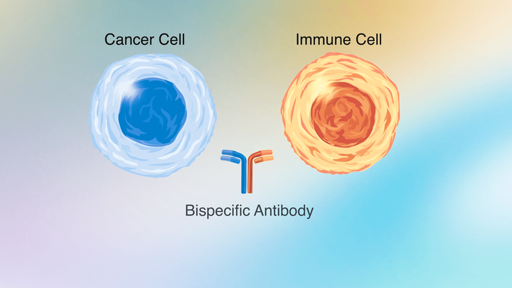 Discover Bispecific Antibody Therapy: Key Insights Into Modern Treatment Approaches