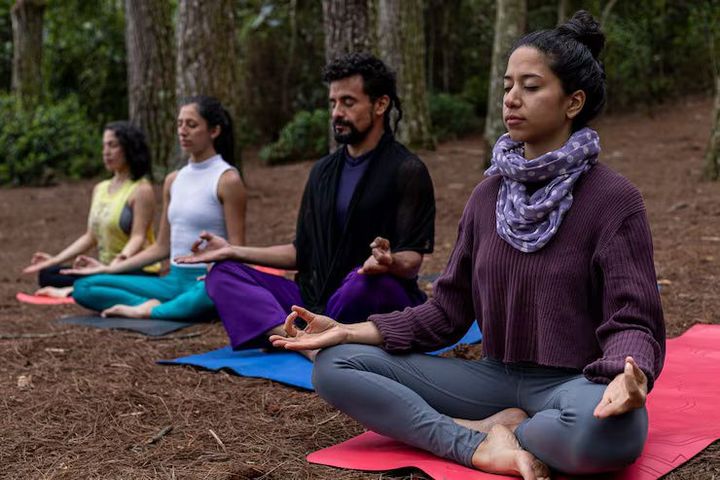 A Guide to Yoga and Wellness Retreats in India