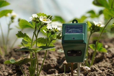 Understanding Agricultural Soil Sensors: Data-Driven Farming, Soil Analysis, and Efficiency Insights