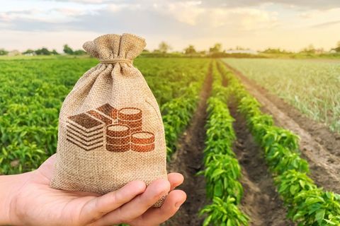 Land Banking Explained: An Overview to Explore Basics, Facts, and Key Insights