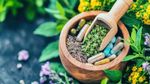 Herbal Medicine Benefits Guide to Natural Healing and Holistic Wellness Practices