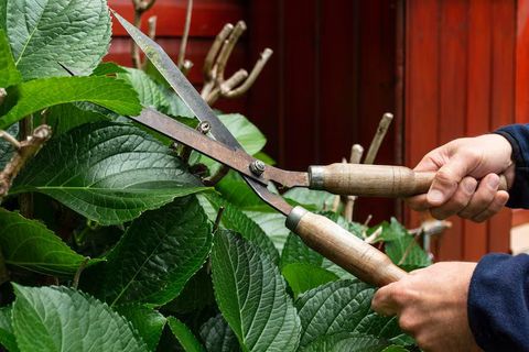 Scrap Shears Guide: Explore Types, Components, Cutting Capacity, Applications, and Safety Factors