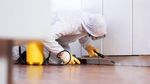 Home Pest Control: Effective Prevention and Management Guide