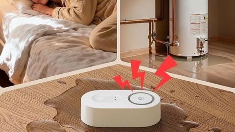 Smart Water Leak Detectors Overview: Detection & Monitoring