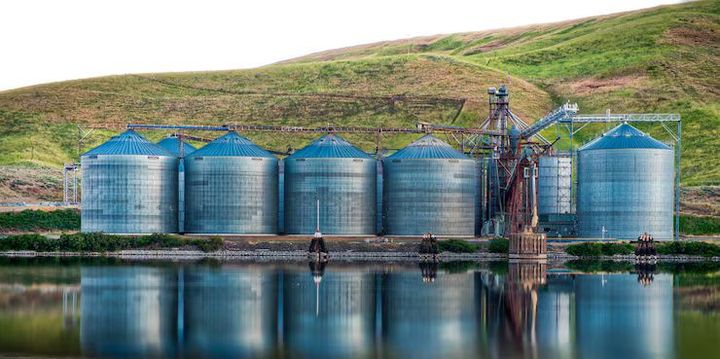 Biogas Digesters Overview: How They Convert Organic Waste into Renewable Energy