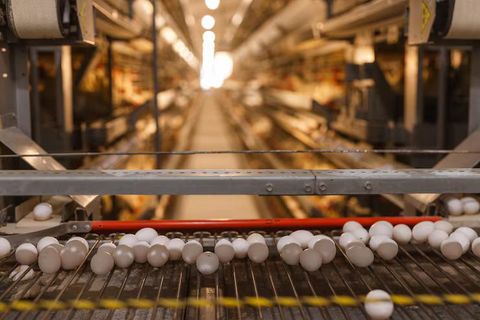 Ball Mill Machine Guide: Working Principle, Types and Industrial Applications