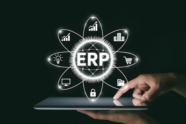 Enterprise Resource Systems Enterprise Resource Systems