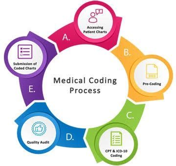Explore Medical Coding: Roles, Systems, and Industry Applications