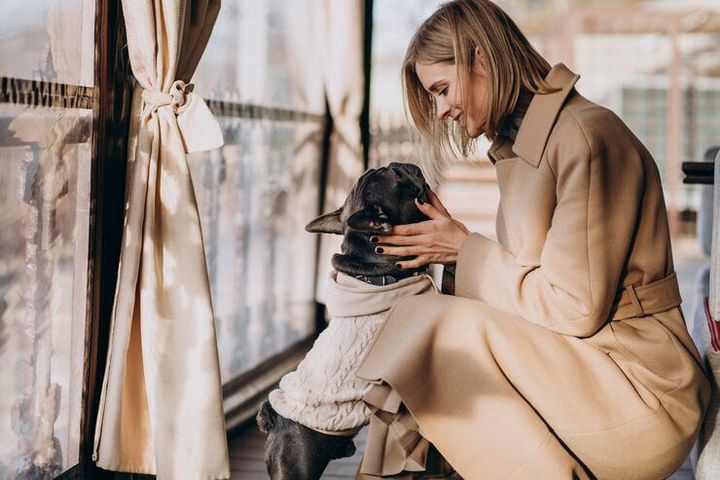 Luxury Pet Clothing: A Complete Guide to Style and Comfort