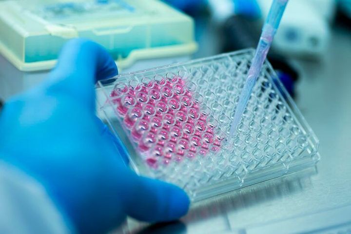 Understanding Assay Development: Process, Techniques, and Best Practices