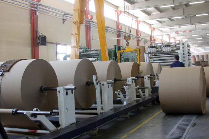 Industrial Paper Plate Manufacturing: Machines, Materials & Production Process