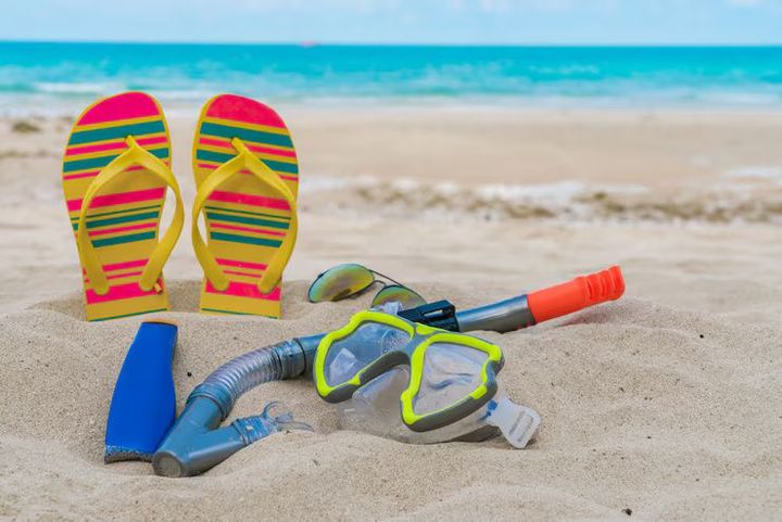 Snorkeling Equipment Rentals: Complete Guide to Choosing Safe and Affordable Gear