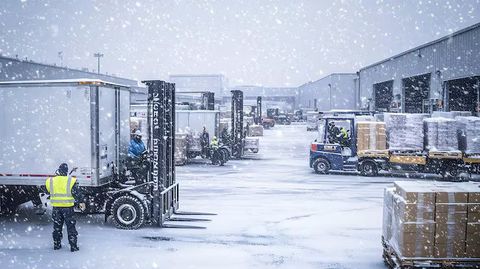 Cold Chain Transport Rentals Guide: Basics, Tips, Insights, and Key Information