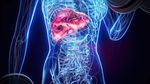 Explore Fatty Liver Disease Resources: Complete Health Information