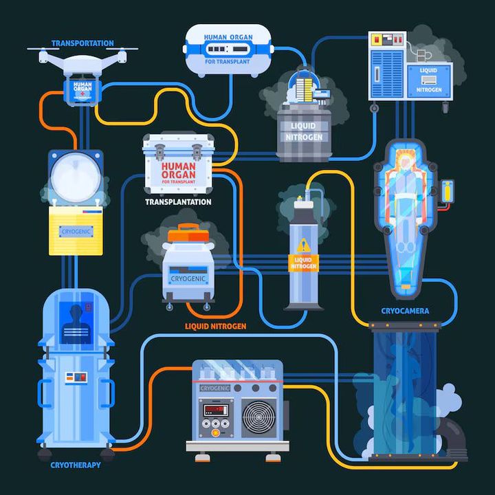 Chemical Dosing Systems: Industrial Applications and Process Control Guide