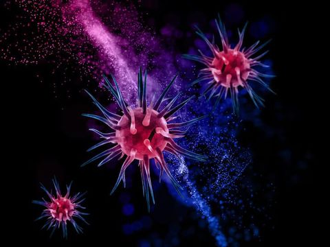 Antibody Conjugation Insights for Modern Biotechnology and Diagnostic Research