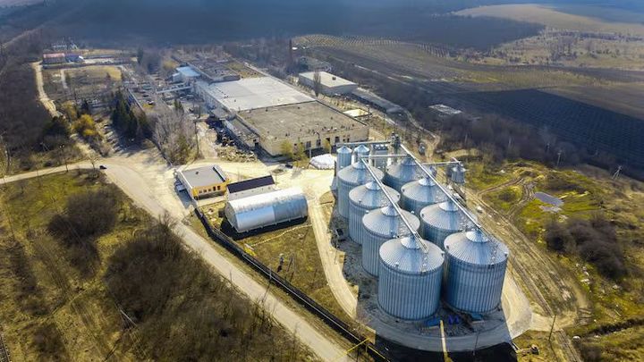 Biomass Gasifiers Guide: Explore Basics, Working Principles, and Key Insights