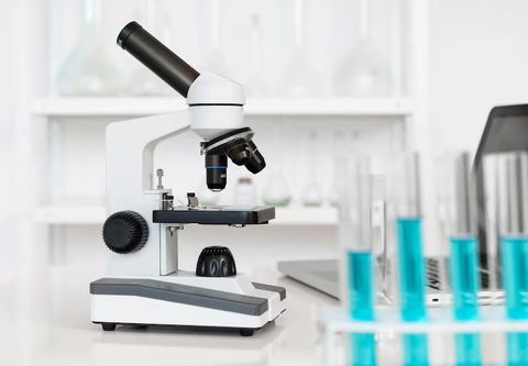 Microscope Basics: Smart Tips for Better Observation