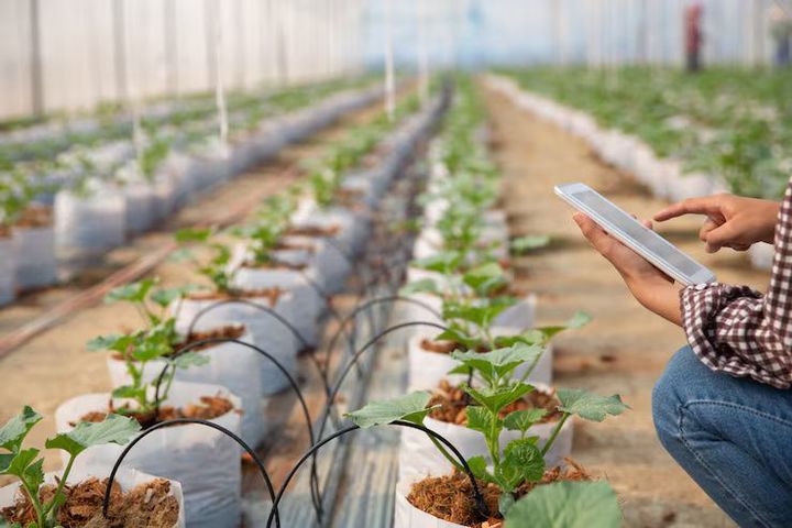 Smart Irrigation Systems Guide: Basics, Benefits, Tips, and Key Insights Explained