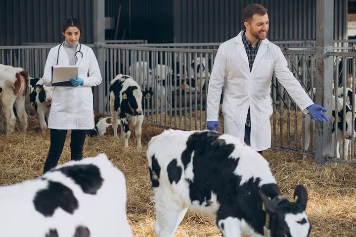 Zoonotic Diseases & Human Health: An Overview of Transmission and Global Impact