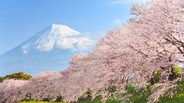 Hanoi to Tokyo Flights and Traveling Guide