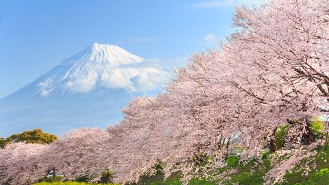 Hanoi to Tokyo Flights and Traveling Guide