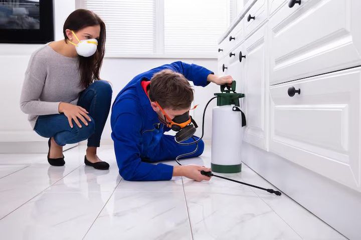 Pest Control: A Complete Guide to Prevention, Management, and Long-Term Protection