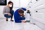Pest Control: A Complete Guide to Prevention, Management, and Long-Term Protection