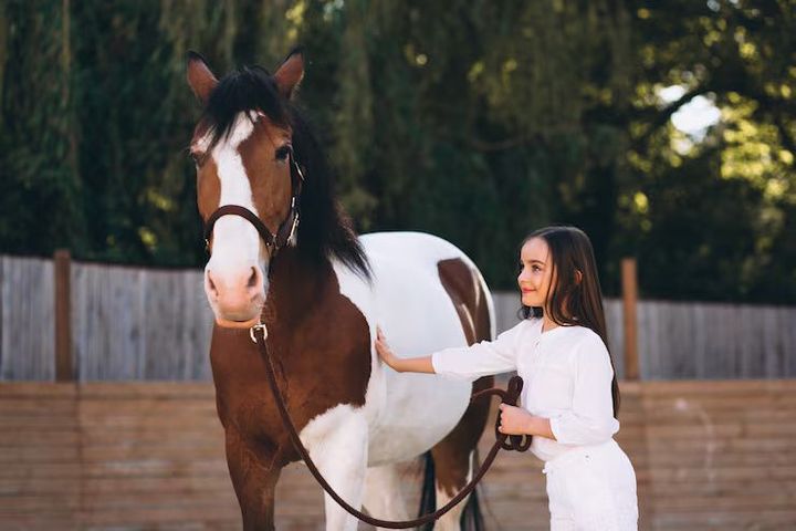 Horse Breeding Overview: Traditions, Innovations, and Industry Insights
