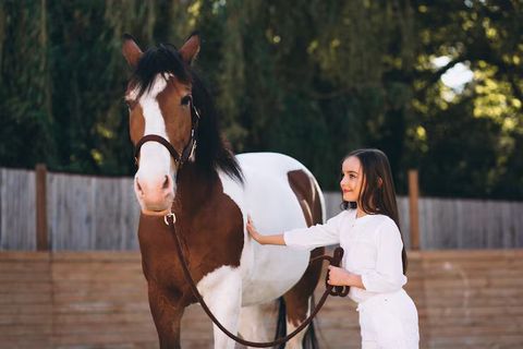 Horse Breeding Overview: Traditions, Innovations, and Industry Insights